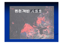 환경과 인권 거대한 사기극 시화호의 비극-6