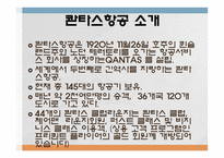 콴타스 항공사 QANTASAIRWAYSLIMITED분석 보고서-3