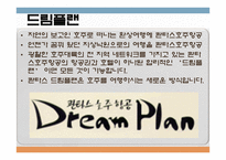 콴타스 항공사 QANTASAIRWAYSLIMITED분석 보고서-8