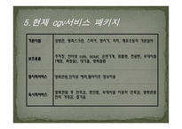 CGV 기업 사례서비스 운영관리-9