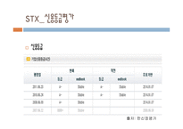 STX조선기업 재무분석-11