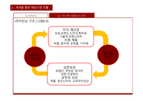 해외시장 진출 방식 실행-16