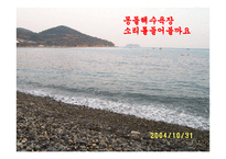 관광지 보고서 거제도는 어때요-7