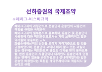 선하증권에 관한 국제조약-11