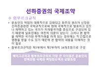 선하증권에 관한 국제조약-13