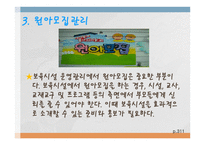 보육학개론 보육시설운영관리-8