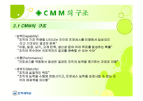 Capability Maturity Model CMM-5
