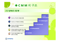 Capability Maturity Model CMM-7