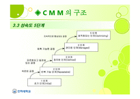 Capability Maturity Model CMM-8