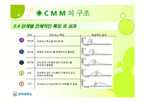 Capability Maturity Model CMM-9