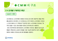 Capability Maturity Model CMM-13