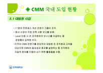 Capability Maturity Model CMM-17