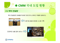 Capability Maturity Model CMM-18