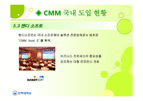 Capability Maturity Model CMM-19