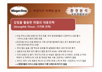 하겐다즈 마케팅 전략-8