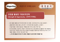 하겐다즈 마케팅 전략-9
