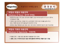 하겐다즈 마케팅 전략-10
