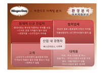 하겐다즈 마케팅 전략-11