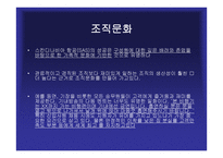SAS항공 스칸디나비안-8