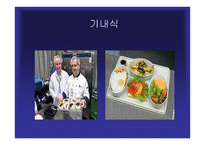 SAS항공 스칸디나비안-18