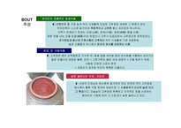 태양초 고추장 마케팅 전략 분석-4