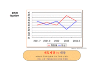 태양초 고추장 마케팅 전략 분석-6