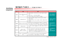 태양초 고추장 마케팅 전략 분석-11