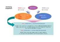 태양초 고추장 마케팅 전략 분석-14