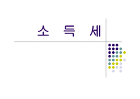 소득세 레포트-1