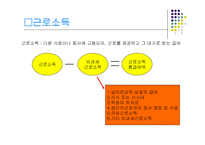 소득세 레포트-14