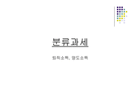 소득세 레포트-17
