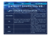 중국의 WTO 가입-11