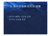 중국의 WTO 가입-16