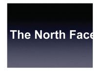 노스페이스 TheNorthFace기업분석-1