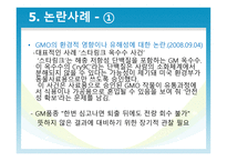 유전자 재조합 식품 GMO-19