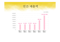 닌텐도 DS의 성공적 마케팅 전략-5