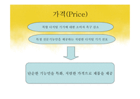 닌텐도 DS의 성공적 마케팅 전략-11