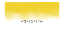닌텐도 DS의 성공적 마케팅 전략-19