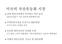 자산유동화증권시장-19