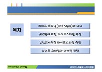 라이프스타일과 소비자 행동-14