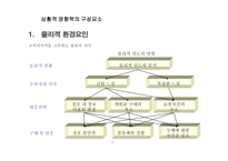 소비자 행동의 상황 요인-6