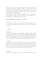 전략기법에 대한 조사 및 사례연구-5