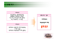 학교 구내식당 조사보고서-3