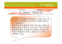 텔레비전의 이해-19