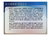 스웨덴의 경제복지국가의 쇠퇴-4