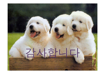 기술 혁신의 성공 요건-16