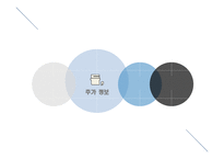 시사상식 경제경영 블랙스완-7