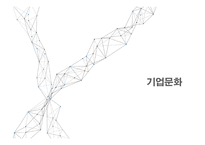 기업문화의 이해-1