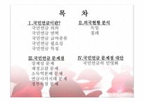 국민연금의 문제점 및 대안-2