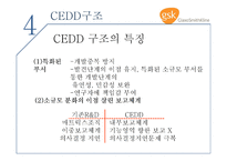GSK기업 사례분석 보고서-9